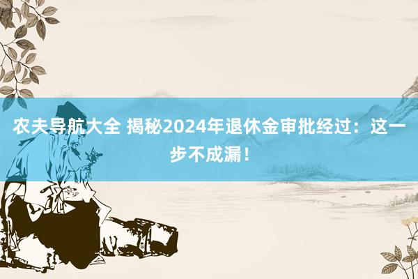 农夫导航大全 揭秘2024年退休金审批经过：这一步不成漏！