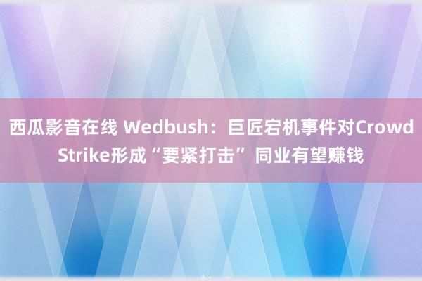 西瓜影音在线 Wedbush：巨匠宕机事件对CrowdStrike形成“要紧打击” 同业有望赚钱