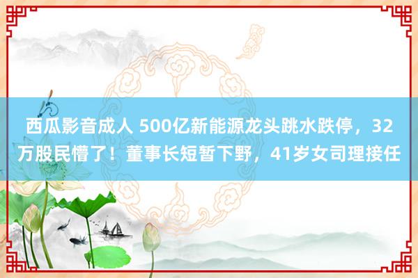 西瓜影音成人 500亿新能源龙头跳水跌停，32万股民懵了！董事长短暂下野，41岁女司理接任