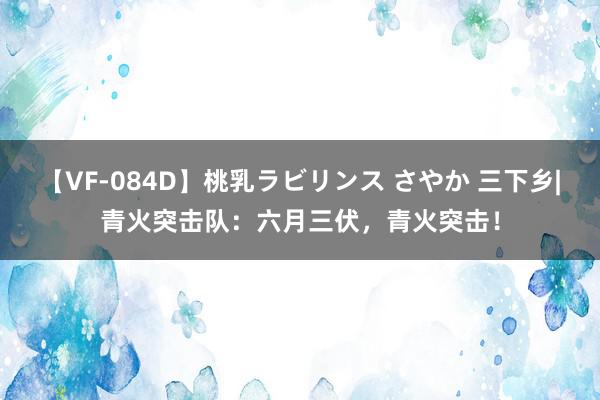 【VF-084D】桃乳ラビリンス さやか 三下乡|青火突击队：六月三伏，青火突击！