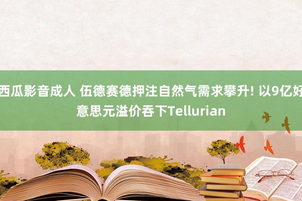 西瓜影音成人 伍德赛德押注自然气需求攀升! 以9亿好意思元溢价吞下Tellurian