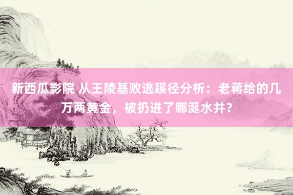 新西瓜影院 从王陵基败逃蹊径分析：老蒋给的几万两黄金，被扔进了哪涎水井？