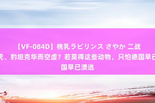 【VF-084D】桃乳ラビリンス さやか 二战德国虎、豹坦克华而空虚？若莫得这些动物，只怕德国早已溃逃