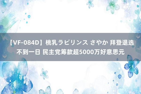 【VF-084D】桃乳ラビリンス さやか 拜登退选不到一日 民主党筹款超5000万好意思元