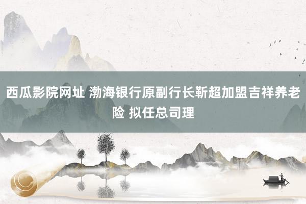 西瓜影院网址 渤海银行原副行长靳超加盟吉祥养老险 拟任总司理