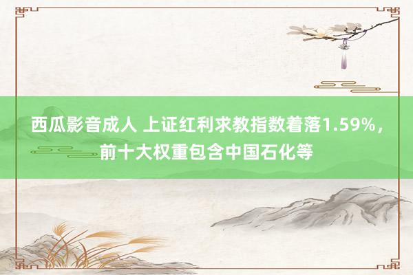 西瓜影音成人 上证红利求教指数着落1.59%，前十大权重包含中国石化等