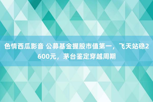 色情西瓜影音 公募基金握股市值第一，飞天站稳2600元，茅台鉴定穿越周期