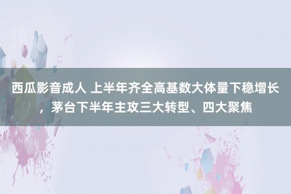 西瓜影音成人 上半年齐全高基数大体量下稳增长，茅台下半年主攻三大转型、四大聚焦