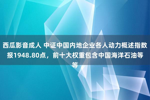 西瓜影音成人 中证中国内地企业各人动力概述指数报1948.80点，前十大权重包含中国海洋石油等