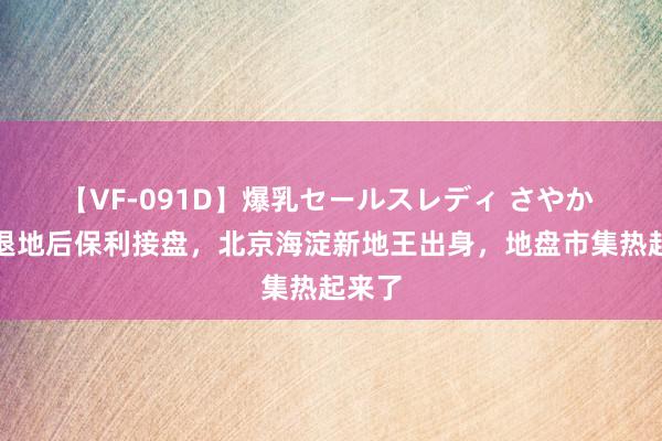 【VF-091D】爆乳セールスレディ さやか 万科退地后保利接盘，北京海淀新地王出身，地盘市集热起来了