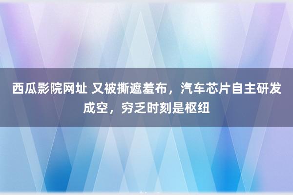 西瓜影院网址 又被撕遮羞布，汽车芯片自主研发成空，穷乏时刻是枢纽