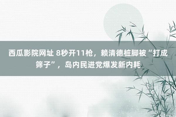 西瓜影院网址 8秒开11枪，赖清德桩脚被“打成筛子”，岛内民进党爆发新内耗