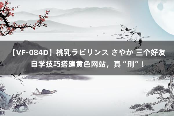 【VF-084D】桃乳ラビリンス さやか 三个好友自学技巧搭建黄色网站，真“刑”！