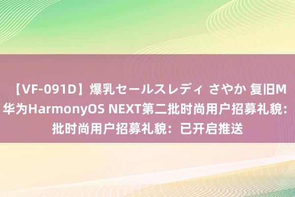 【VF-091D】爆乳セールスレディ さやか 复旧Mate 60等！华为HarmonyOS NEXT第二批时尚用户招募礼貌：已开启推送