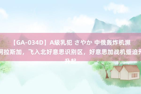 【GA-034D】A級乳犯 さやか 中俄轰炸机濒临阿拉斯加，飞入北好意思识别区，好意思加战机蹙迫升起