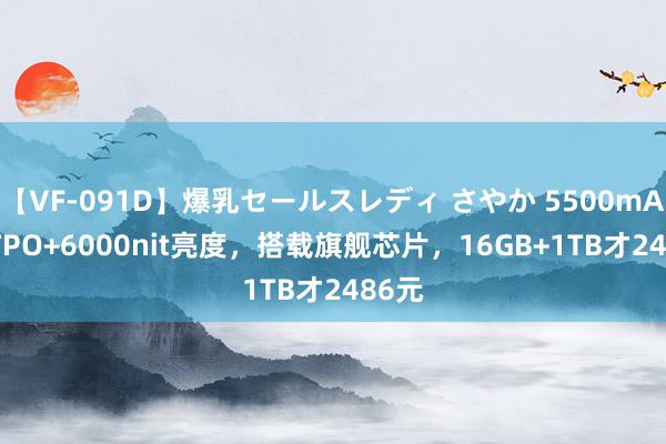 【VF-091D】爆乳セールスレディ さやか 5500mAh+LTPO+6000nit亮度，搭载旗舰芯片，16GB+1TB才2486元