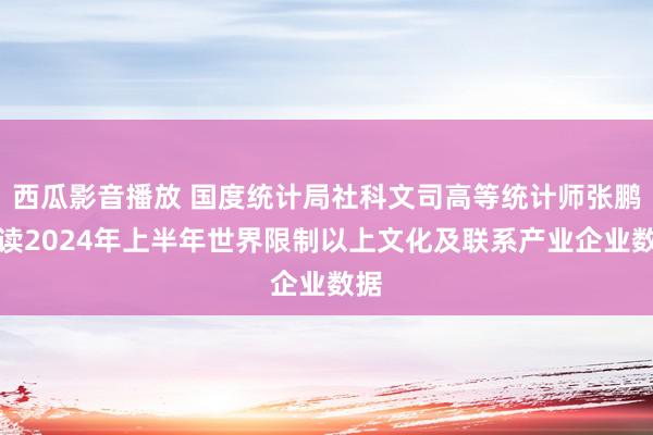 西瓜影音播放 国度统计局社科文司高等统计师张鹏解读2024年上半年世界限制以上文化及联系产业企业数据