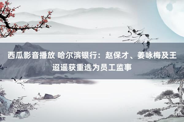 西瓜影音播放 哈尔滨银行：赵保才、姜咏梅及王迢遥获重选为员工监事