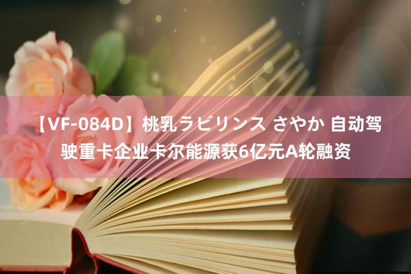 【VF-084D】桃乳ラビリンス さやか 自动驾驶重卡企业卡尔能源获6亿元A轮融资