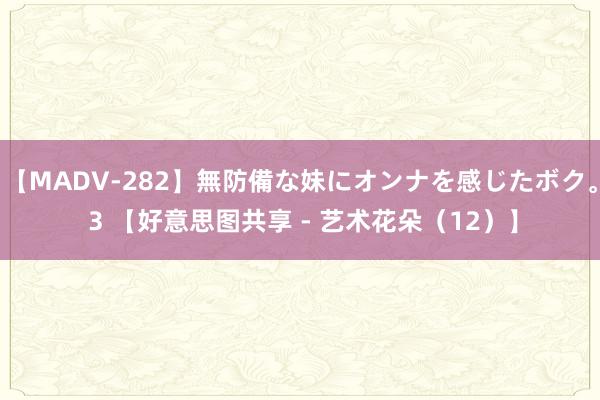 【MADV-282】無防備な妹にオンナを感じたボク。 3 【好意思图共享 - 艺术花朵（12）】