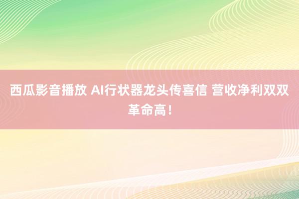 西瓜影音播放 AI行状器龙头传喜信 营收净利双双革命高！