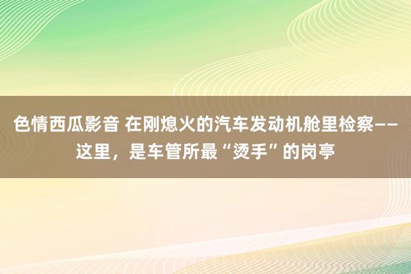 色情西瓜影音 在刚熄火的汽车发动机舱里检察——这里，是车管所最“烫手”的岗亭