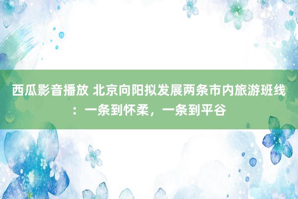 西瓜影音播放 北京向阳拟发展两条市内旅游班线：一条到怀柔，一条到平谷