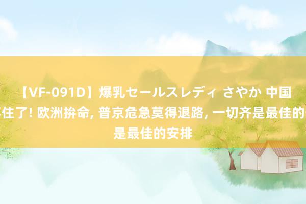 【VF-091D】爆乳セールスレディ さやか 中国拦不住了! 欧洲拚命, 普京危急莫得退路, 一切齐是最佳的安排