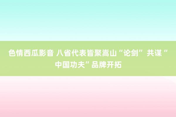 色情西瓜影音 八省代表皆聚嵩山“论剑” 共谋“中国功夫”品牌开拓