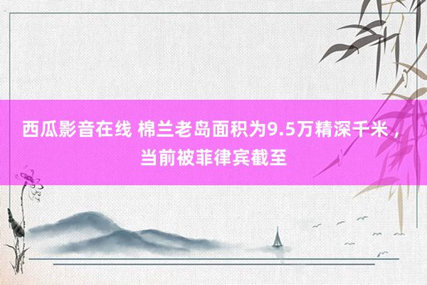 西瓜影音在线 棉兰老岛面积为9.5万精深千米 , 当前被菲律宾截至