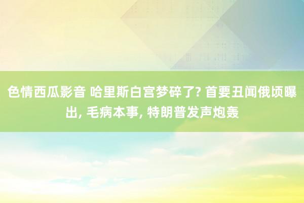 色情西瓜影音 哈里斯白宫梦碎了? 首要丑闻俄顷曝出, 毛病本事, 特朗普发声炮轰