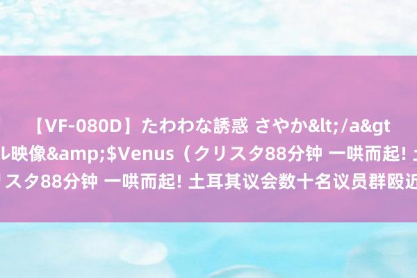 【VF-080D】たわわな誘惑 さやか</a>2005-08-27クリスタル映像&$Venus（クリスタ88分钟 一哄而起! 土耳其议会数十名议员群殴近半小时