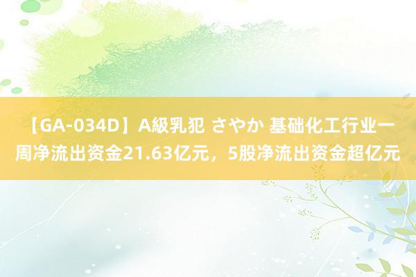 【GA-034D】A級乳犯 さやか 基础化工行业一周净流出资金21.63亿元，5股净流出资金超亿元