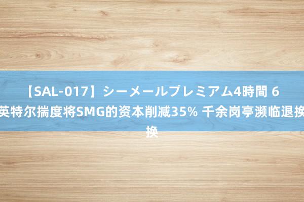 【SAL-017】シーメールプレミアム4時間 6 英特尔揣度将SMG的资本削减35% 千余岗亭濒临退换