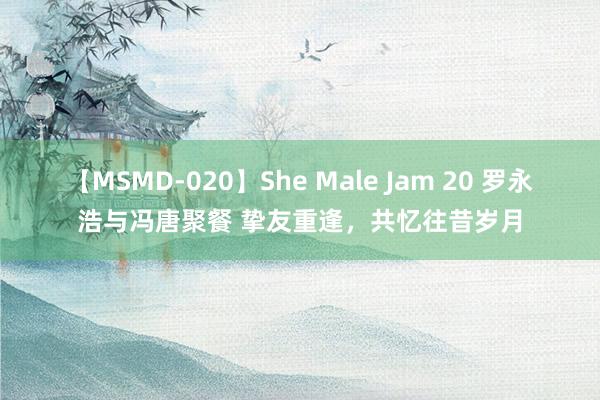 【MSMD-020】She Male Jam 20 罗永浩与冯唐聚餐 挚友重逢，共忆往昔岁月