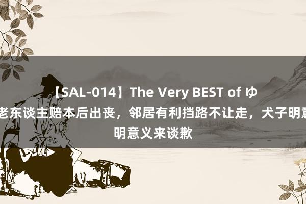 【SAL-014】The Very BEST of ゆか 海南一老东谈主赔本后出丧，邻居有利挡路不让走，犬子明意义来谈歉