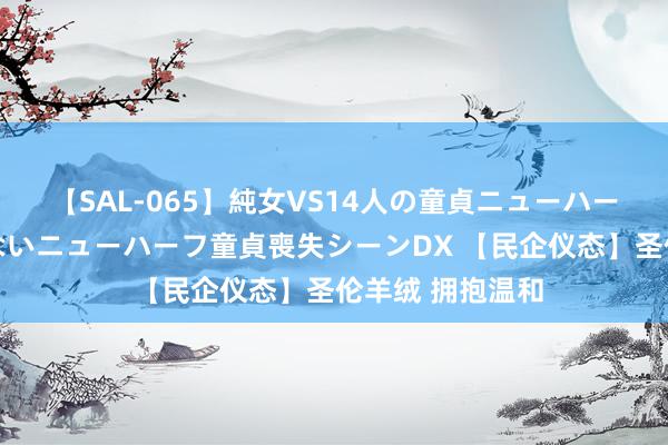 【SAL-065】純女VS14人の童貞ニューハーフ 二度と見れないニューハーフ童貞喪失シーンDX 【民企仪态】圣伦羊绒 拥抱温和