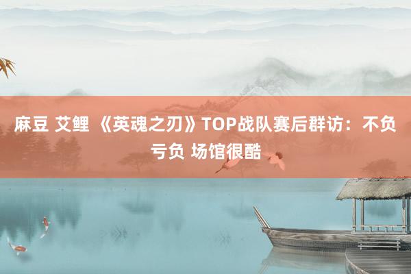 麻豆 艾鲤 《英魂之刃》TOP战队赛后群访：不负亏负 场馆很酷