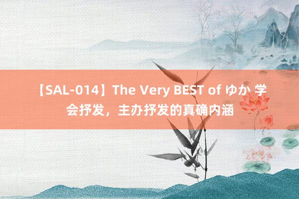 【SAL-014】The Very BEST of ゆか 学会抒发，主办抒发的真确内涵