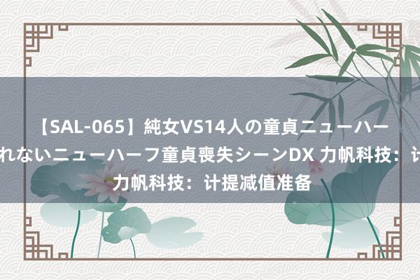 【SAL-065】純女VS14人の童貞ニューハーフ 二度と見れないニューハーフ童貞喪失シーンDX 力帆科技：计提减值准备