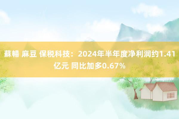 蘇暢 麻豆 保税科技：2024年半年度净利润约1.41亿元 同比加多0.67%