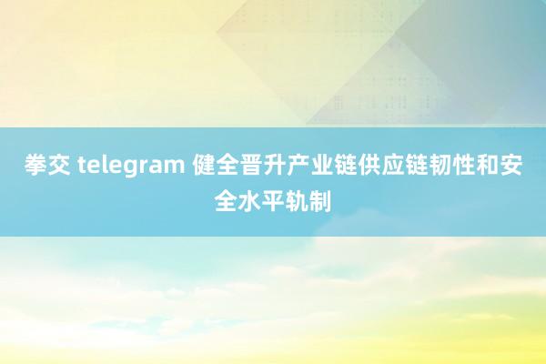 拳交 telegram 健全晋升产业链供应链韧性和安全水平轨制