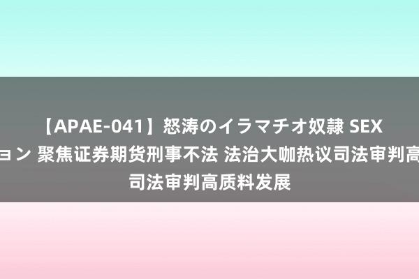 【APAE-041】怒涛のイラマチオ奴隷 SEXコレクション 聚焦证券期货刑事不法 法治大咖热议司法审判高质料发展