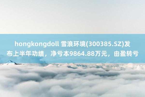 hongkongdoll 雪浪环境(300385.SZ)发布上半年功绩，净亏本9864.88万元，由盈转亏