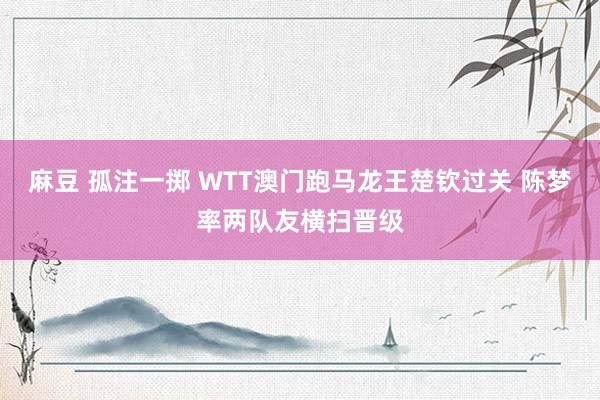 麻豆 孤注一掷 WTT澳门跑马龙王楚钦过关 陈梦率两队友横扫晋级