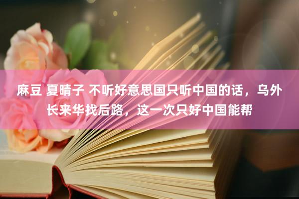 麻豆 夏晴子 不听好意思国只听中国的话，乌外长来华找后路，这一次只好中国能帮