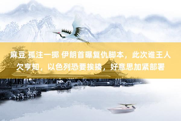 麻豆 孤注一掷 伊朗首曝复仇脚本，此次谁王人欠亨知，以色列恐要挨揍，好意思加紧部署