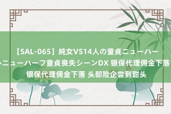 【SAL-065】純女VS14人の童貞ニューハーフ 二度と見れないニューハーフ童貞喪失シーンDX 银保代理佣金下落 头部险企尝到甜头