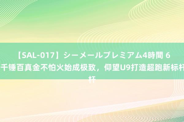 【SAL-017】シーメールプレミアム4時間 6 千锤百真金不怕火始成极致，仰望U9打造超跑新标杆