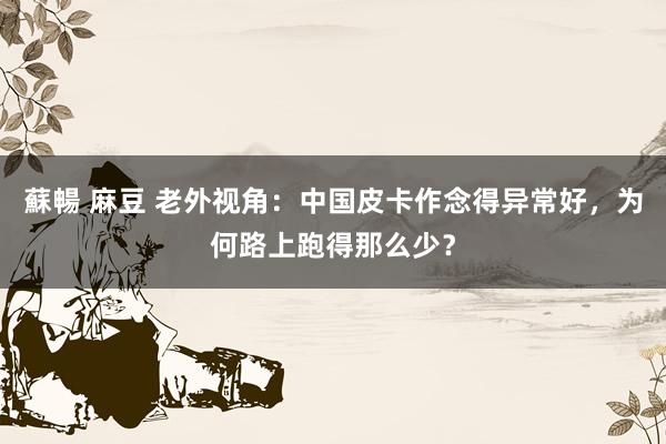 蘇暢 麻豆 老外视角：中国皮卡作念得异常好，为何路上跑得那么少？